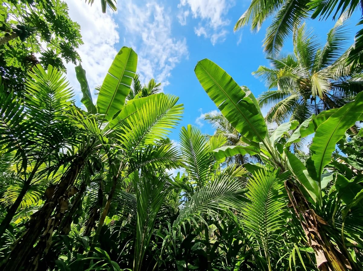 Sustainability Advisory Foliage